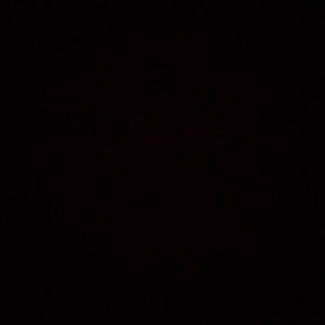 Meet your Posher, Dora